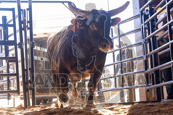24_Dec_20_BTO_039