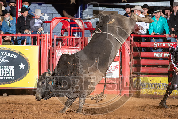 2021_Jan_02_ABBI_463