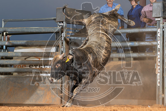 2024_Aug_21_Erick_OK_313