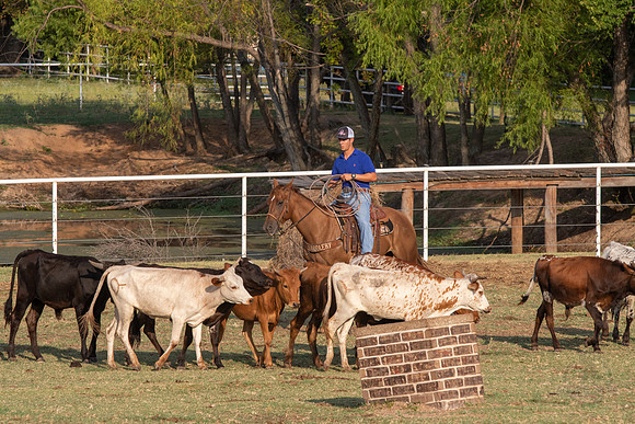 08_05_19_Vieira_Ranch_021_Silva
