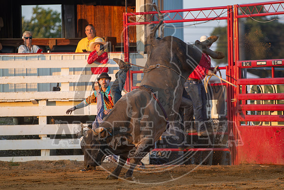 2024 Cowtown Rodeo_R1_XTREME BULLS_-Zack Oberholzer_Blue Duck__AndreSilva_287