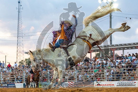2025_CowtownRodeo_Pilesgrove_NJ_BB_Jason Wilson_143