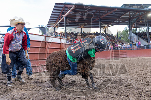 2024 Eagle_Mutton busting_2473-AndreSilva