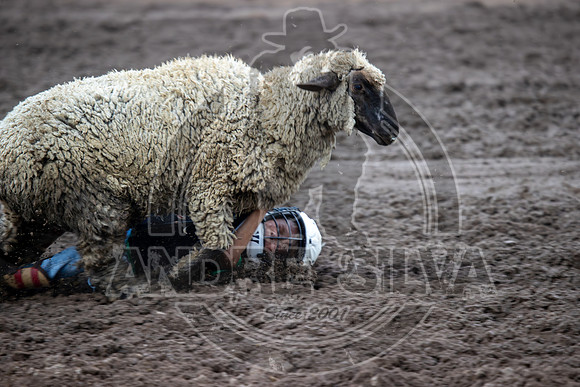 2024 Eagle_Mutton busting_2453-AndreSilva