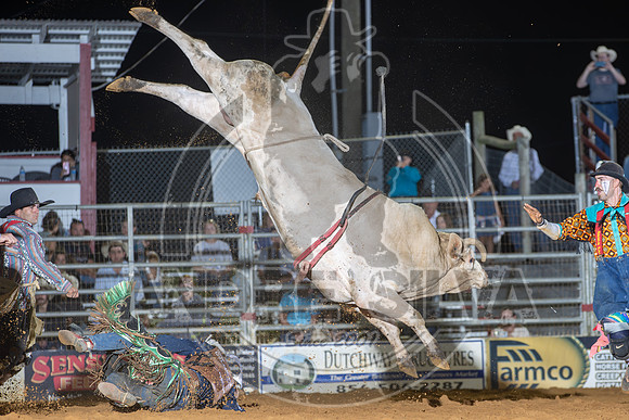 2024 Cowtown Rodeo_R1_XTREME BULLS_Josh Frost_Ridin Salty_AndreSilva_329