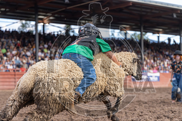2024 Eagle_Mutton Busting__2604-AndreSilva