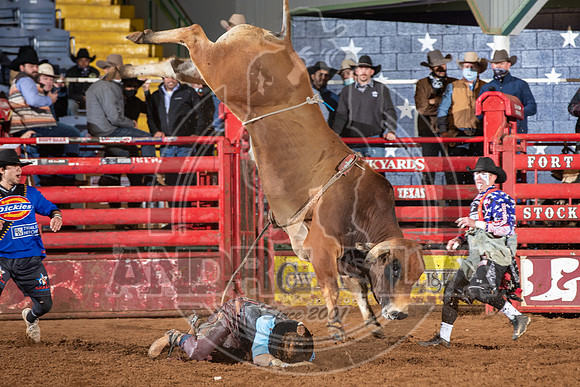 2021_Jan_01_ABBI_250