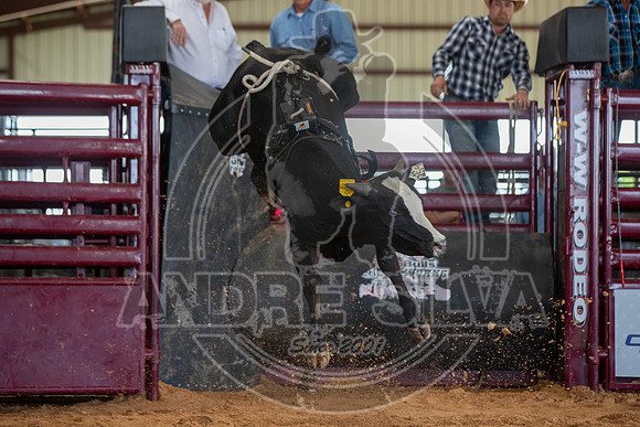 TBBA_2020_05_02_011