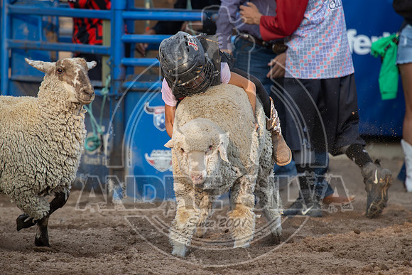 24_July_24_Eagle_CO_096