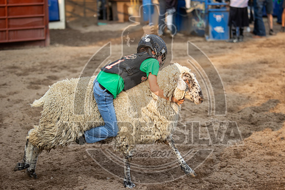 24_July_24_Eagle_CO_077