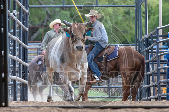 2020_Aug_29_ABBI_047