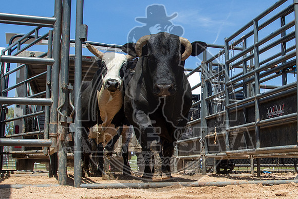 2021_May_08_PBR_Cassvile_TX_038