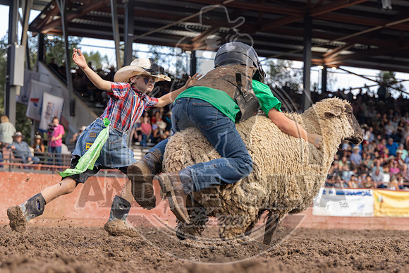 2024 Eagle_Mutton Busting__2599-AndreSilva