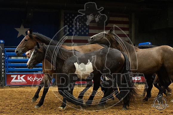 06_29_19_Mesquite_101_Silva