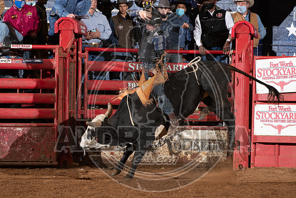 2021_Jan_01_ABBI_207