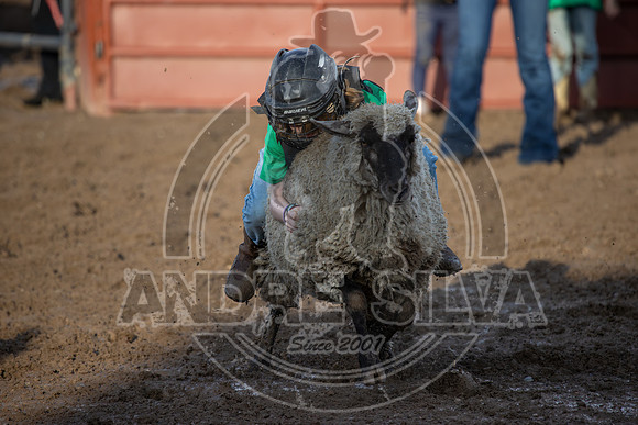 2024 Eagle_Mutton Busting_1580-AndreSilva