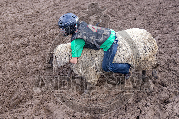 2024 Eagle_Mutton busting_2466-AndreSilva