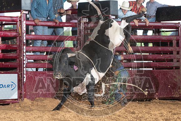 20_May_09_ABBI_154
