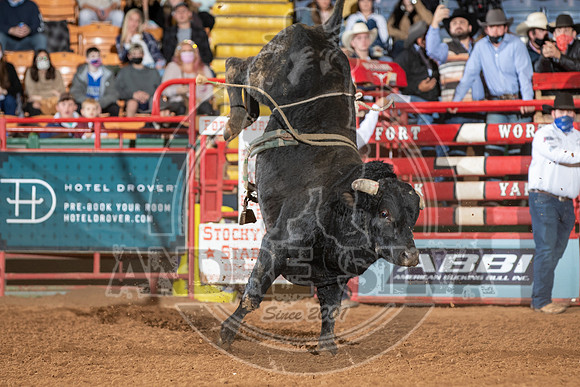 2021_Jan_01_ABBI_089