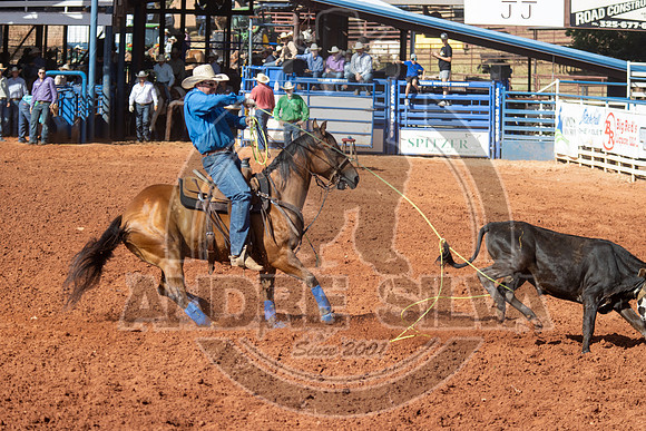 2024_July_02_Team_Roping_050