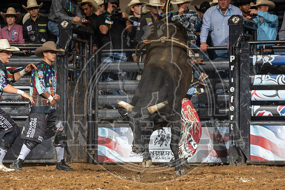 08_03_19_Allen_TX_PBR_115_Silva