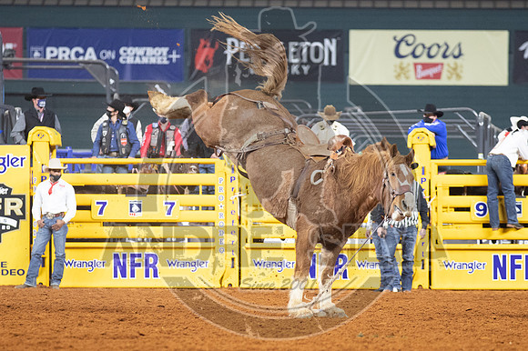 2020_Dez_11_WNFR_Saddle_Bronc_Cole Elshere_905