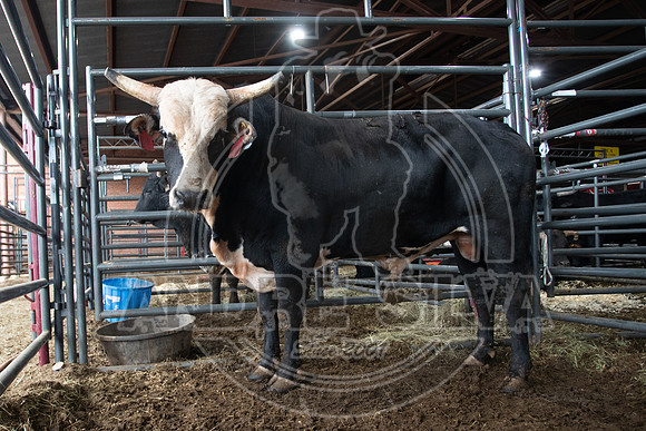 2021_Jan_01_ABBI_003