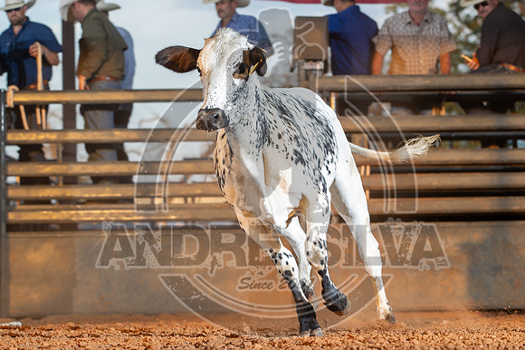 2024_Aug_21_Erick_OK_248