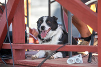 2020_July_11_Hibbitt_Fest_019