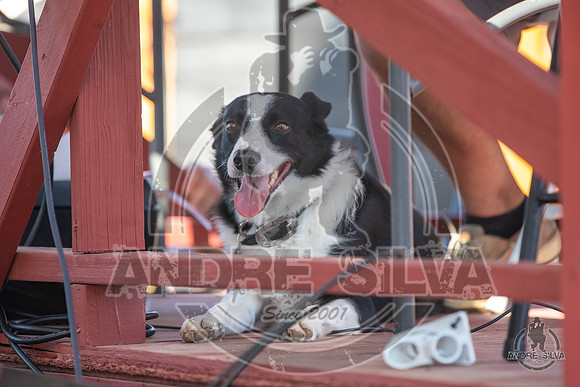 2020_July_11_Hibbitt_Fest_019