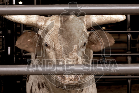 2023_Oct_28_Robson_Palermo_359