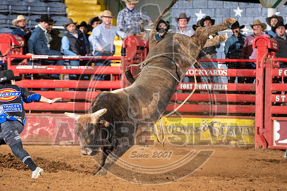 2021_Jan_02_ABBI_455