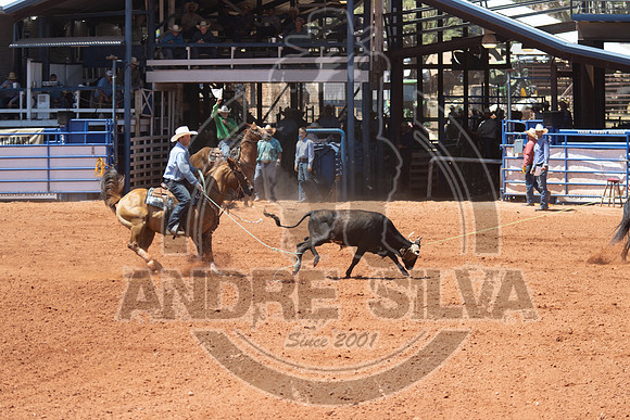 2024_July_02_Team_Roping_354