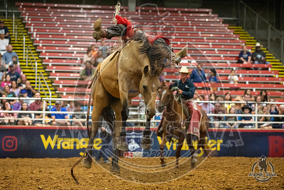 06_29_19_Mesquite_Bareback_Rocker Steiner_112_Silva