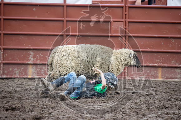 2024 Eagle_Mutton busting_2448-AndreSilva