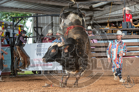 2020_July_18_ABBI_128