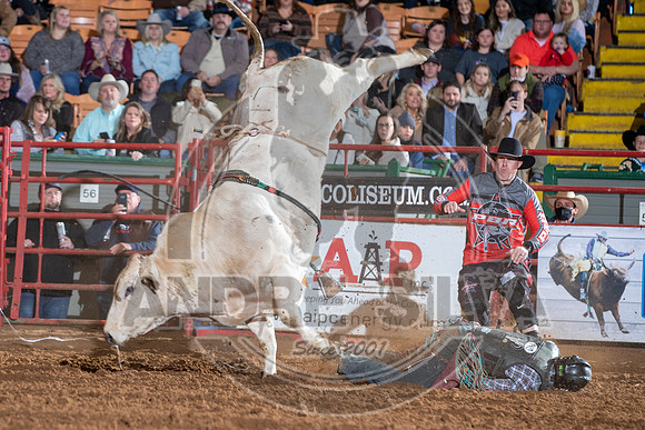 2021_Jan_01_ABBI_085