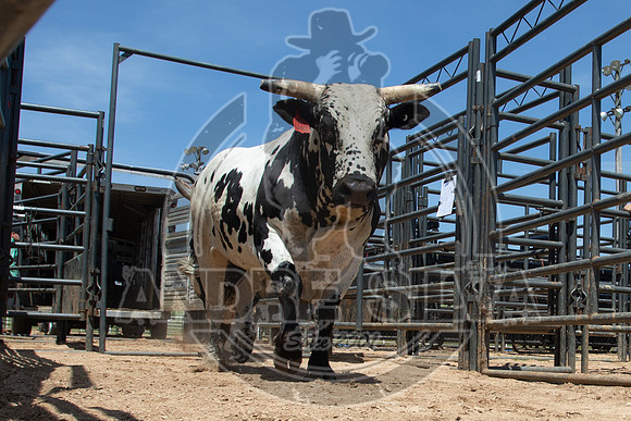 2021_May_08_PBR_Cassvile_TX_021