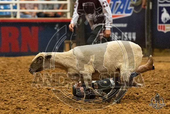 06_29_19_Mesquite_079_Silva