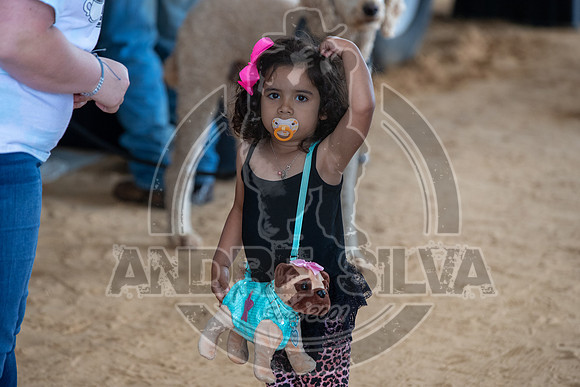 20_May_09_ABBI_280