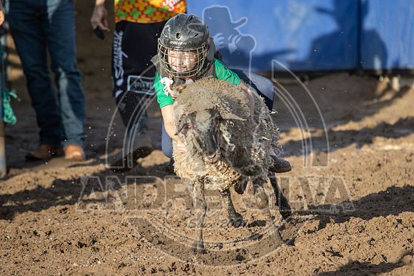 2024 Eagle_Mutton Busting_1576-AndreSilva