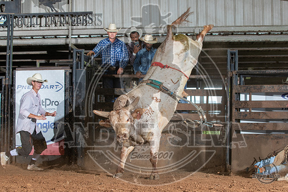 2020_July_18_ABBI_147