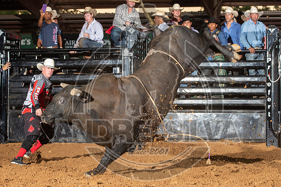 2020_Aug_29_ABBI_113