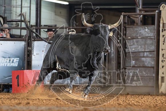 23_Nov_12_UBF_041
