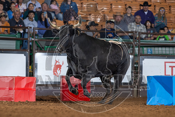 23_Nov_12_UBF_045