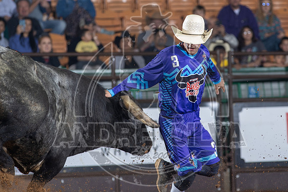 23_Nov_12_UBF_060
