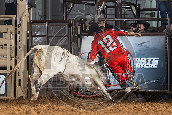 23_Nov_12_UBF_094