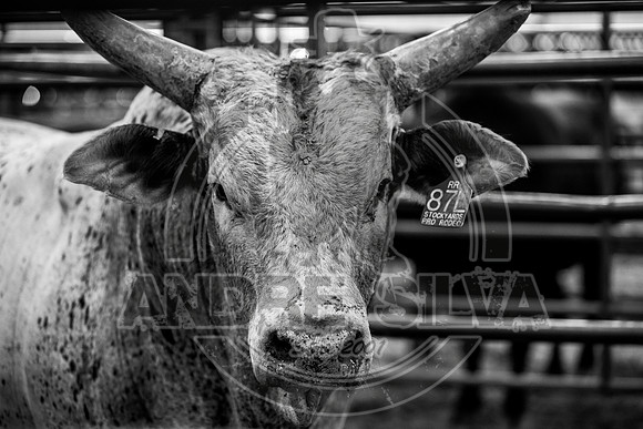 2020_Aug_29_ABBI_039