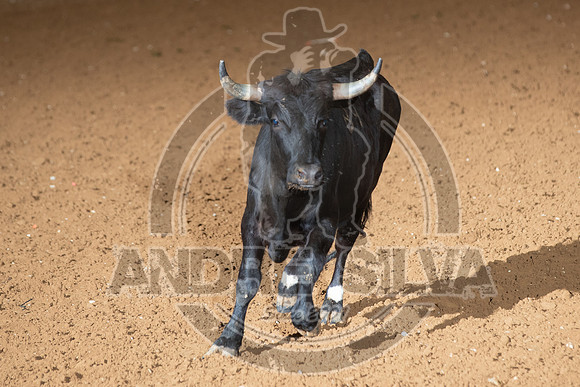 2020_06_06_Mesquite_026_Silva