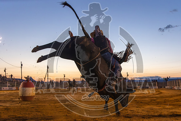 2024 Cowtown Rodeo_R2_R3_XTREME BULLS_AndreSilva_624